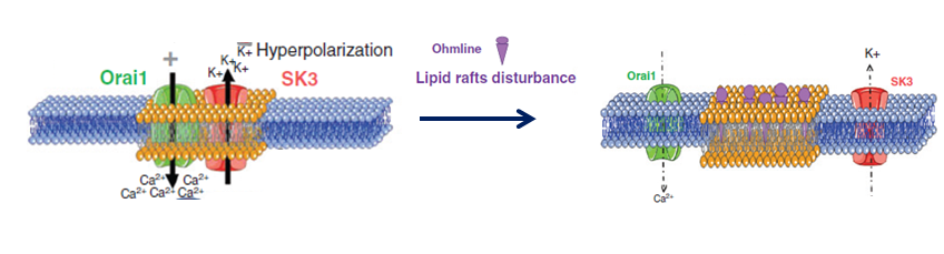 Ohmline