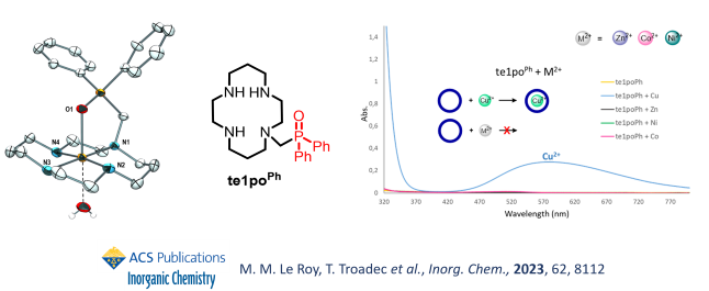 Inorg Chem 2024