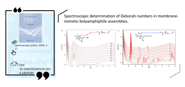 Spectroscopy Letters, 2024, 1–17