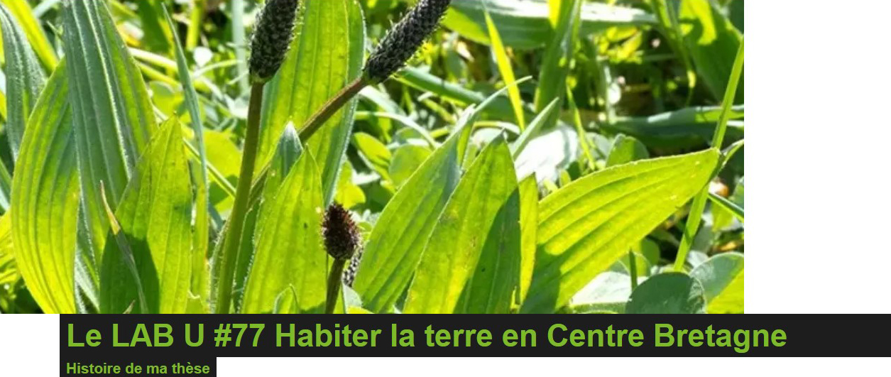 Image d'illustration