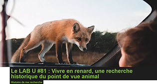 Image d'illustration