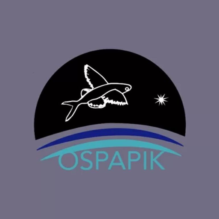 Logo d'OSPAPIK