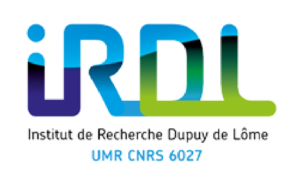 logo-irdl