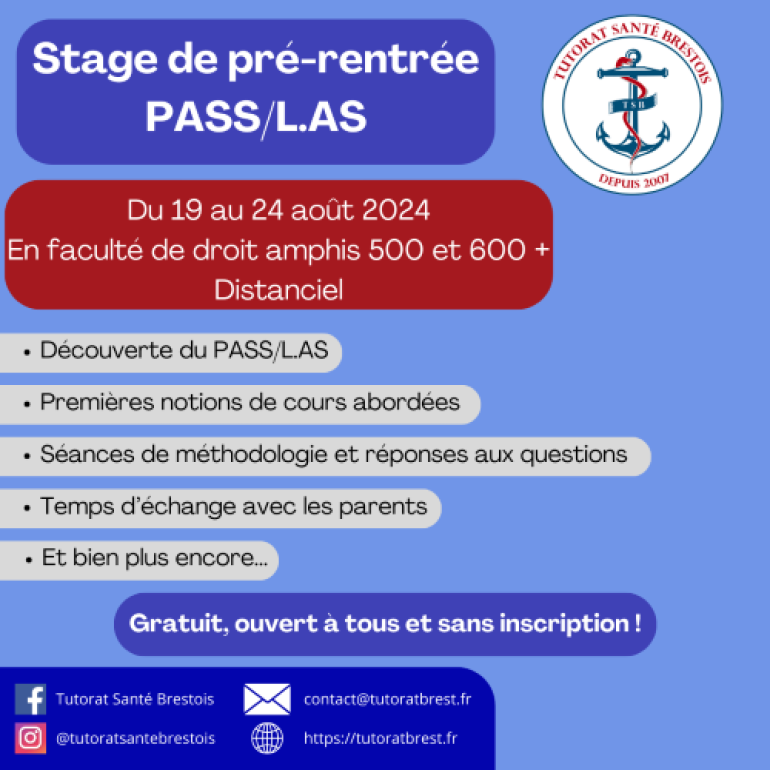 stage tutorat