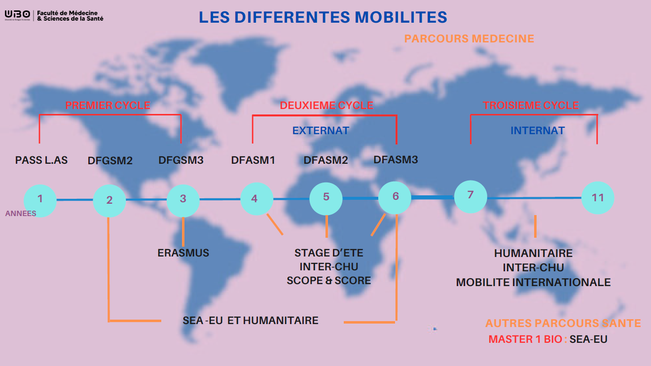 Frise des différentes mobilités par année