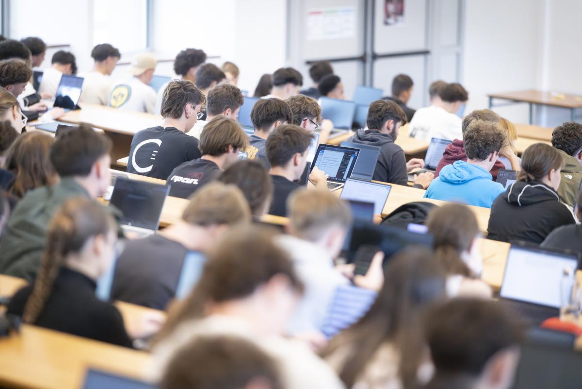 Education Formation