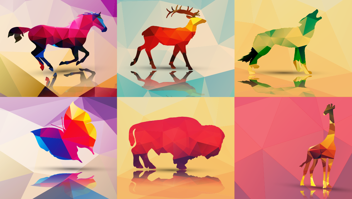visuel pour illustrer le diplôme d'université Droit animalier