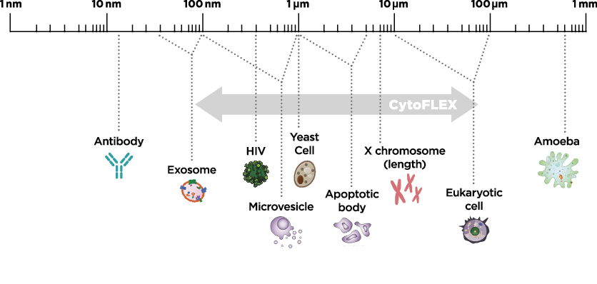 cytoflexchart