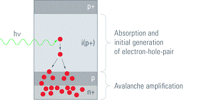 cytoflex_graph