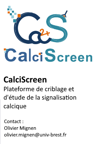 Cal2