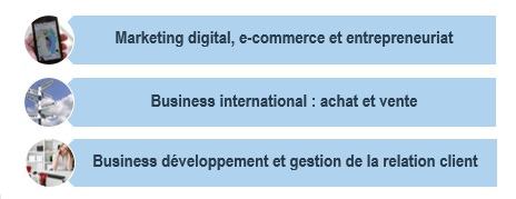 TC CFA Organisation des etudes