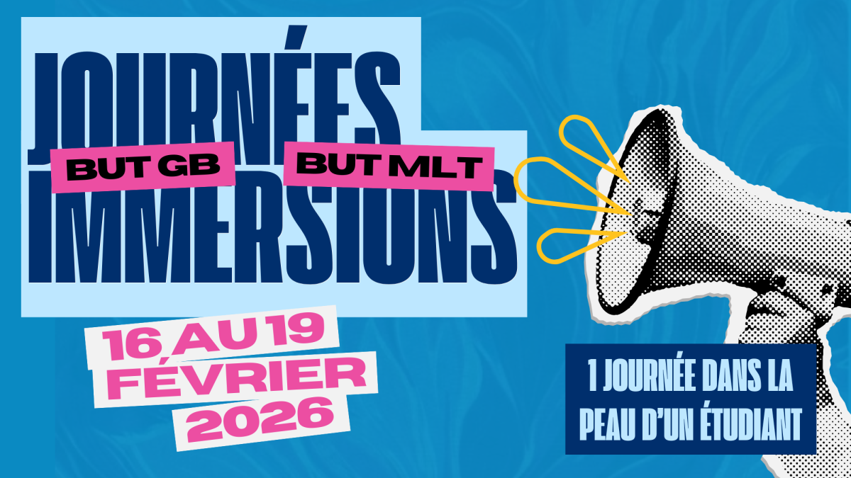 les immersions 206 - MLT et GB 