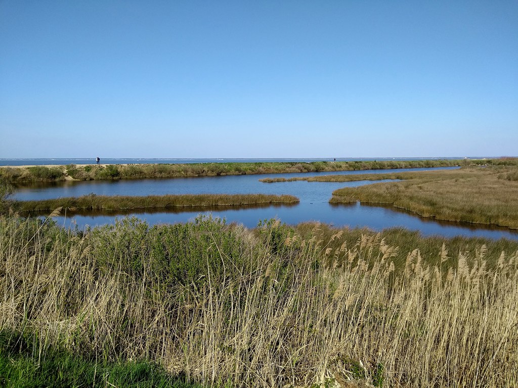 Marais de prés salés