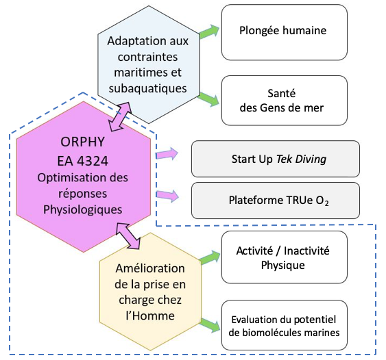 sport santé