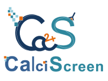 logo_calciscreen