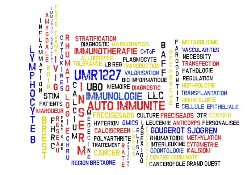 mots-clefs-labo-800px