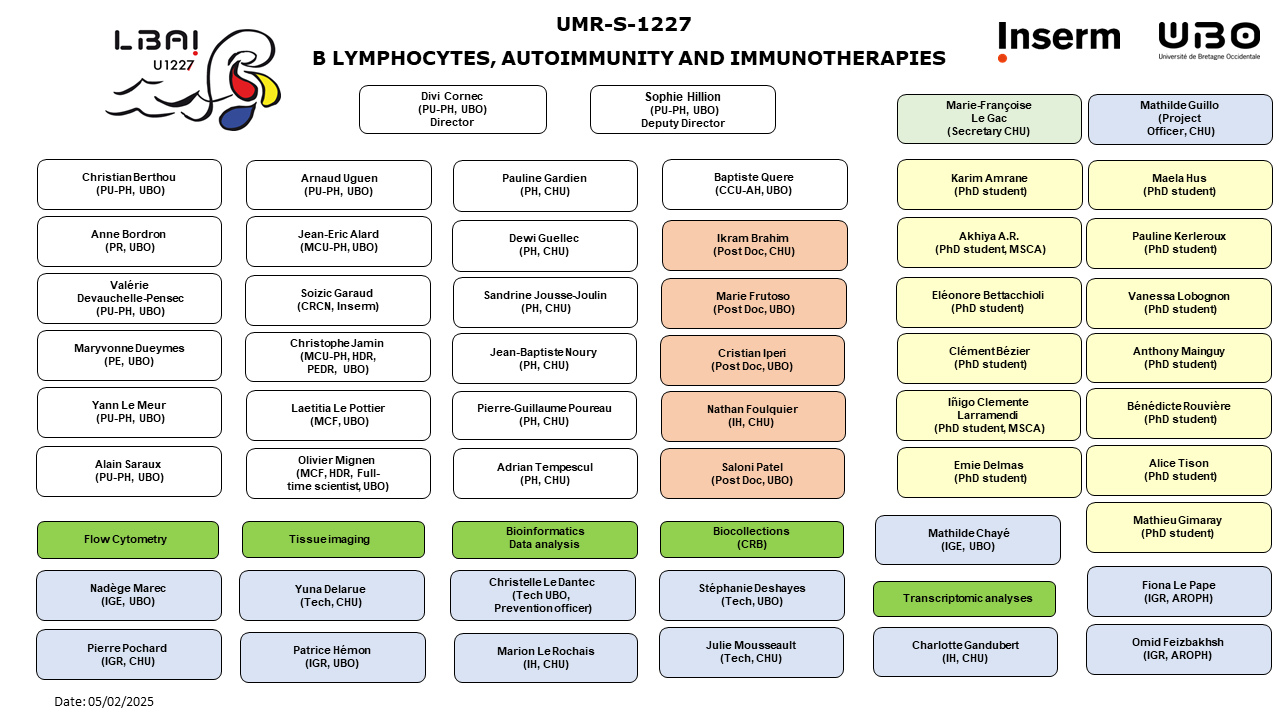 organigramme_lbai_022025