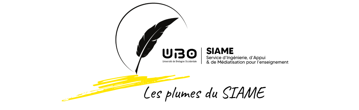 Les plumes du SIAME