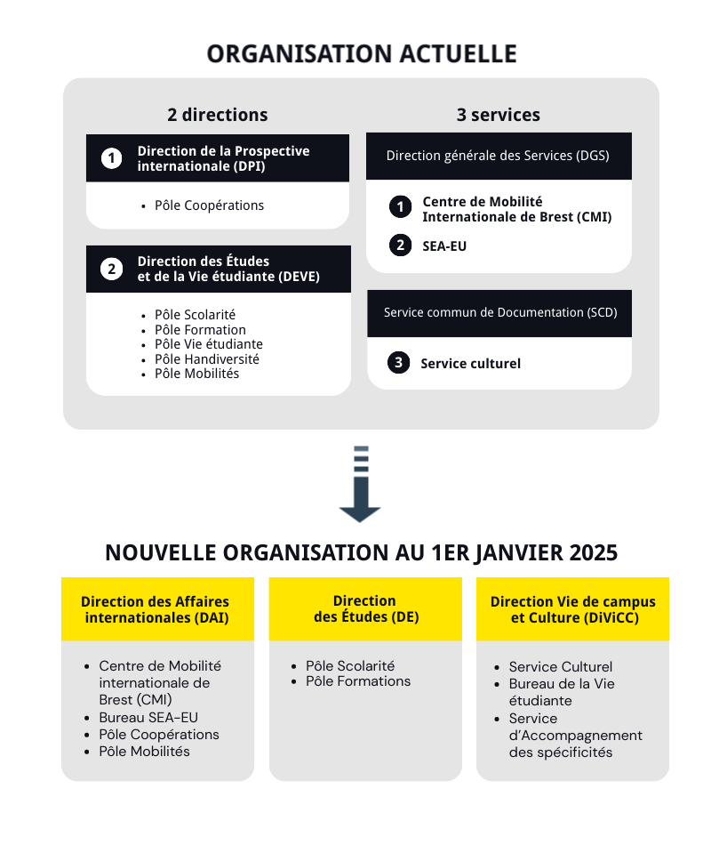 infographie reorganisation