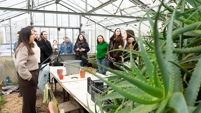 La serre du jardin partagé