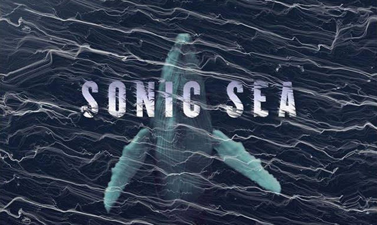 documentaire-sonic-sea.jpg