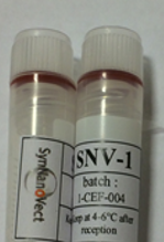 SNV-1